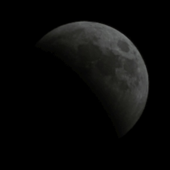 Meet your Posher, Nicole - Picture 1 of 1